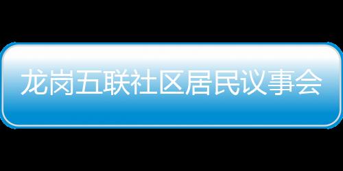 龙岗五联社区居民议事会 献出“金点子”助力小区治理